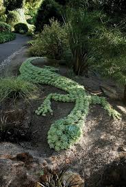 Sukkulenten In Form Einer Eidechse Weg Kuhl Succulent Garden Design Succulents Planting Succulents