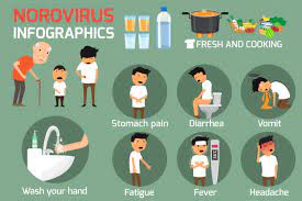 Norovirus is a highly contagious virus that frequently. Stomach Flu May Be Circulating In Prescott Area Health Officials Warn The Daily Courier Prescott Az