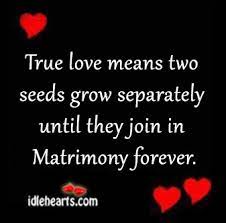 When love is spurned, we feel crippled, disconsolate, and bereaved. True Love Means Idlehearts