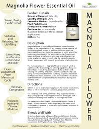 Pin On Essential Oils