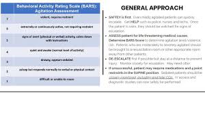 Image result for Behavioral Activity Rating Scale
