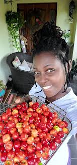 Freshly picked Bajan cherries. Vitamin C in abundance.