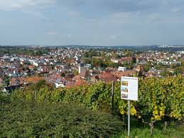 The yburg in stetten was build in the beginning of the 14th century by the truchsessen of stetten and because it was used as a residential castle (german) die yburg in stetten wurde am anfang des 14. Stolzengorf Picture Weinstadt Lob Fur Den Erhalt Der Landschaft Remstal Impressionen Kernen Stetten