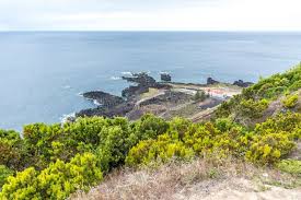 Image result for Ferraria