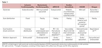 Focus On Electrophysiology Ventricular Tachycardia Ablation In Structural Heart Disease American College Of Cardiology