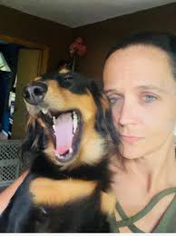 Update for Oscar "Whild". He was rather miffed at his first photo