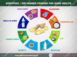 Spoon of dry ginger powder with hot rice can cure day to day problems like stomach upset, acidity and in. Health Benefits Of Dry Ginger Powder Sonti Podi