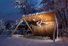 Climbing Photo Of In Andy Librandehome Climbing Walls Home Climbing Wall Bouldering Wall Outdoor Climbing