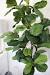 Pinterest Fake Plants In Bedroom