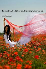 Pin By Michaelj72 On Rumi Quotes Rumi Quotes Rumi Love Rumi