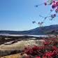 BWA SAN DIEGO: Batiquitos Lagoon Trail event in Carlsbad, CA