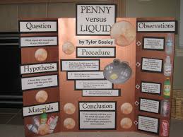 The Seeley Family Cool Science Fair Projects Easy Science Fair Projects Kids Science Fair Projects