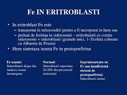 Tot conținutul ilive este revizuit din punct de vedere medical sau verificat pentru a vă asigura cât mai multă precizie de fapt. Mecanisme Si Modalitati De Stabilire A Diagnosticului Ppt Katebasma