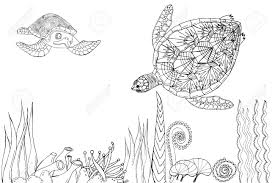 Don't be shy, get in touch. Sea Turtle Swimming Among Seaweed Coloring Book Hand Drawing Royalty Free Cliparts Vectors And Stock Illustration Image 143775089