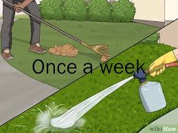 Maybe you would like to learn more about one of these? 3 Ways To Clean Artificial Grass Wikihow