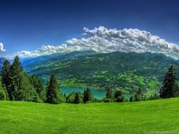 Appealing meadows became the subject of many poems and literary tales, as well as inspiration for writers and artists. Laptop Nature Desktop Hd Wallpapers Jpg Desktop Background