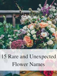 The things the name refers to are magical and. Rare And Unexpected Flower Names The York Pack