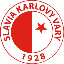 Image result for nemoci u%u0161  u ps%u016F