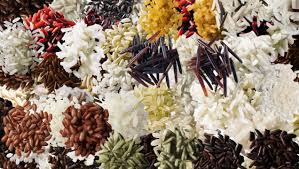 Image result for Styppeiochloa