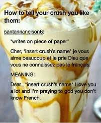 If you teach them how to program, you will frustrate them for a lifetime. Unique Way To Tell Your Crush You Like Them In French Crush Humor Funny Jokes To Tell Crush Memes