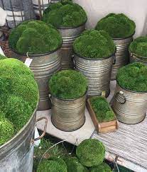 Moss Is On Trend See A Few Of My Finds From Round Top Designed Moss Decor Outdoor Christmas Planters Moss Garden