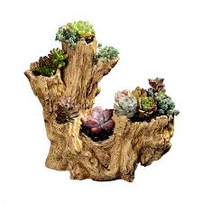 Artificial Driftwood Rabbit Bunny Planter Resin Flower Pot Sculpture Succulent Air Plants Multilayer Rustic Abertura Na Porta Raizes De Arvores Vasos De Flores