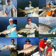 Maybe you would like to learn more about one of these? St Pete Beach Inshore Fishingcapt Billy Miller Capt Billy Miller
