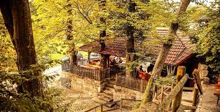 Halb strives to cultivate in our students a passion for judaism. Weingut Dieter Laufer Hassberge Tourismus
