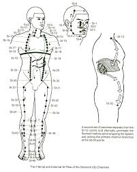 stomach meridian