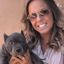 What A.R. Torre books are recommended?