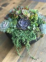 How To Make A Succulent Terrarium With Pictures Succulents Network Succulent Centerpieces Succulent Garden Diy Succulents