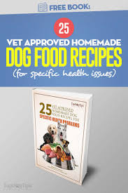 25 vet approved homemade dog food