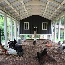 I put a number of. About Our Coops Carolina Coops
