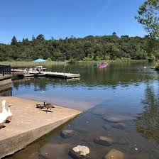 Howarth Park Santa Rosa 2021 Que Saber Antes De Ir Lo Mas Comentado Por La Gente Tripadvisor