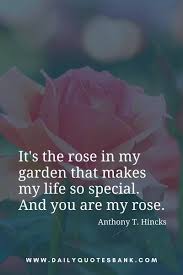 We did not find results for: Flower Quotes About Love Happiness Life Wisdom Philosophy