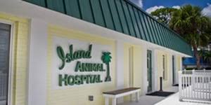 I was very pleased with the service we received at the pet hospitals. Three Convinient Veterinary Locations In Fl Island Animal Hospital