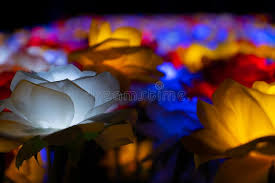 Maybe you would like to learn more about one of these? 12 089 Illuminated Flowers Photos Free Royalty Free Stock Photos From Dreamstime