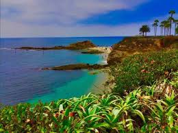 Check spelling or type a new query. Yes It S True A Treasure Island Does Exist In South Laguna Beach Picture Of Treasure Island Beach Laguna Beach Tripadvisor