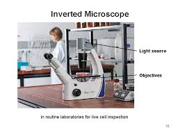 We did not find results for: Cell And Tissue Culture Cell Culture Propagation Of