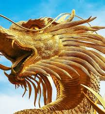 Enter the virtual world of geniverse where you control the process of meiosis and fertilization in dragons. Qg3pyuvi79hmvm