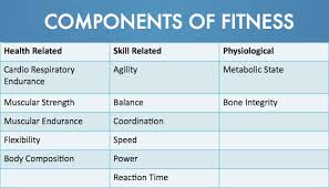 Don't make the mistake of thinking that you're too young to consider your health care needs. 6 Health Related Components Of Fitness Iriinc