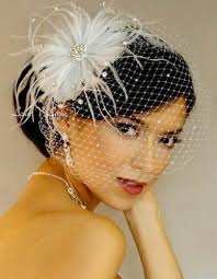 Lola White Crystal Petite Birdcage Veil Pearl Fascinator 27 F31a Leslie V Http Www Amazon Com Dp B008672qp Bridal Birdcage Veils Bridal Veil Birdcage Veil
