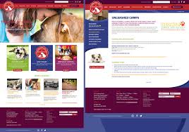 Your adoption agency should be your most trusted friend in the adoption process. Animal Refuge League Of Greater Portland Slickfish Studios A Creative Maine Website Design Company