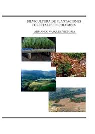 $ 280.000 power wheel, rueda entrenamiento core, tronco, torso. Silvicultura De Plantaciones Forestales En Colombia Universidad Del