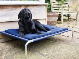 A raised bed can make it easier for him to change positions since it basically gives him a head start. Raised Dog Beds By Berkeley Dog Beds Uk