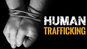 See more ideas about human trafficking, human, human trafficking awareness. By The Numbers Florida Had Third Highest Human Trafficking Rate In 2019 Wfla