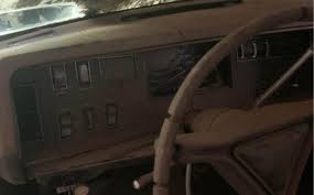 Image result for Vitamin C 1969 Fury