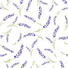 Seamless Lavender Flowers Pattern On White Background Royalty Free Seamless Lavender Flowers Pattern On Flower Backgrounds Lavender Aesthetic Lavender Flowers