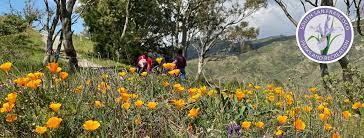 Check spelling or type a new query. South San Francisco Parks And Recreation Department Home Facebook