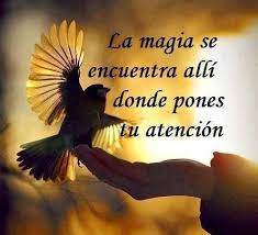 Maybe you would like to learn more about one of these? Imagenes Con Pensamientos Positivos Cortos Imagui